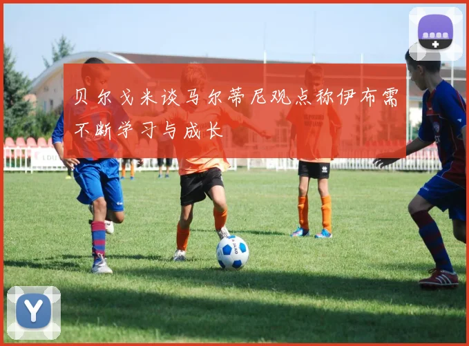 贝尔戈米谈马尔蒂尼观点称伊布需不断学习与成长